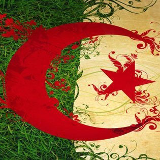 AL_G_RIEN's profile picture. I'm the f*cking fresh prince Think my name is Ill smith I got hoes from everywhere...