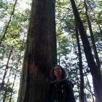 Audrey BP (@audrey_barplot) 's Twitter Profile
