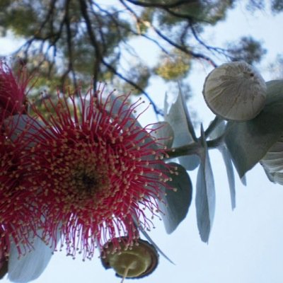 HobbsSandra's profile picture. 