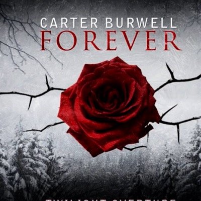 laxi98's profile picture. 