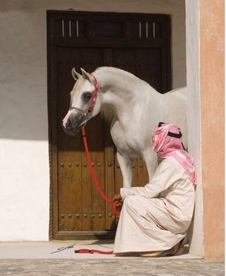‏ليت الزمان يعود