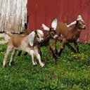 Caroline Mullin - @MullinCaroline - Twitter