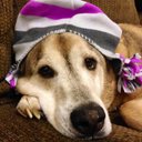 Jillian Tait - @Jillian_Tait - Twitter