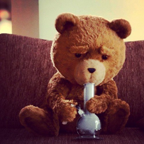 The fuck you lookin' at? Yeah, I'm a walking, talking fuckin' Teddy Bear. Wanna smoke some pot? [Ted RP. All verses. 18+ (?)]