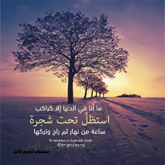 #صدقة_جارية للمرحوم بإذن الله / عبدالمحسن بن جويبر الثبيتي رحمه الله تعالى❗️