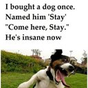 Elliott Morris - @Epicelliott1 - Twitter