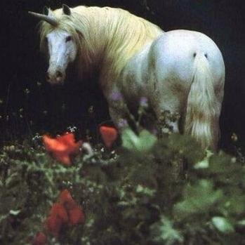 tverdskaya's profile picture. Единорог.