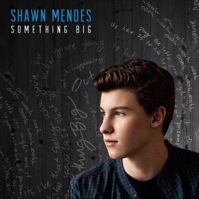 Riding on dolphins on toasters threw the night sky. Shawn mendes is my sunshine. ❤️