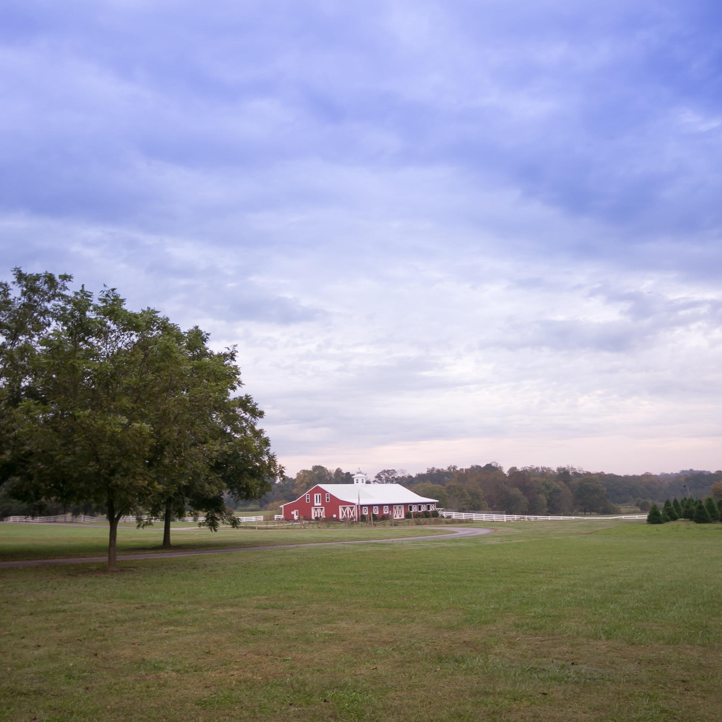 BottomsTreeFarm's profile picture. “It’s Christmas Y’all!” Come GET REAL at Bottoms Choose and Cut Christmas Tree Farm. (706) 429-3173