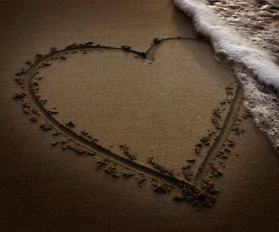 juncobelma's profile picture. life is a flash