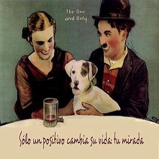 adoptleishmania's profile picture. 