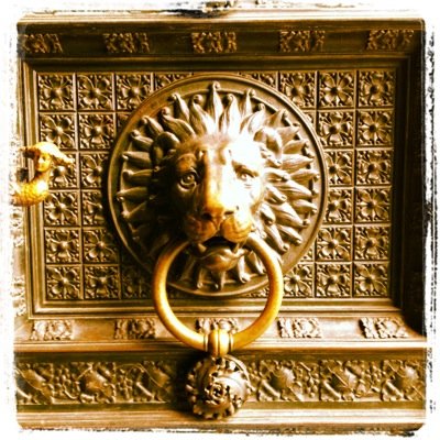 DMitche06402385's profile picture. 