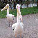 rita reilly - @rreilly15 - Twitter