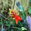 Cara Phillips - @CaraPhillips01 - Twitter