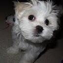 Jac0lyn - @Jac0lyn - Twitter