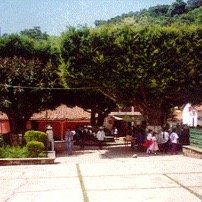 Uruapan es la segunda ciudad más importante y poblada del Estado de Michoacán de Ocampo.