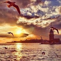 Burak Tıraş (@rasburak) Twitter profile photo
