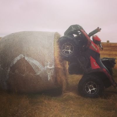 reegan28's profile picture. 