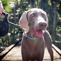 Jennifer Schrader (@jenschrader) 's Twitter Profile