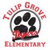 Tulip Grove Elementary School (@tulipgrovees) Twitter profile photo