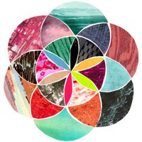 mitnosam (@tmason) 's Twitter Profile