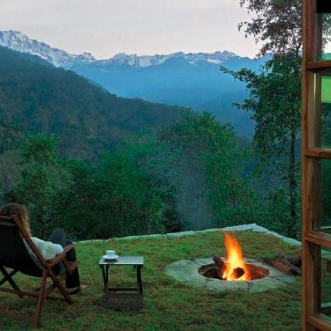 pucontinyhouse's profile picture. 