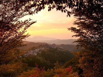 maprico's profile picture. 