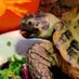 Tort-Time (@torttime) Twitter profile photo
