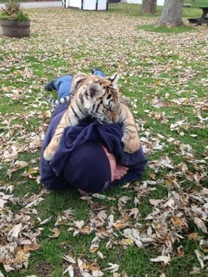 JayRubel's profile picture. 