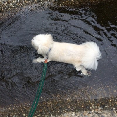 基本的にTL眺めてるだけ。