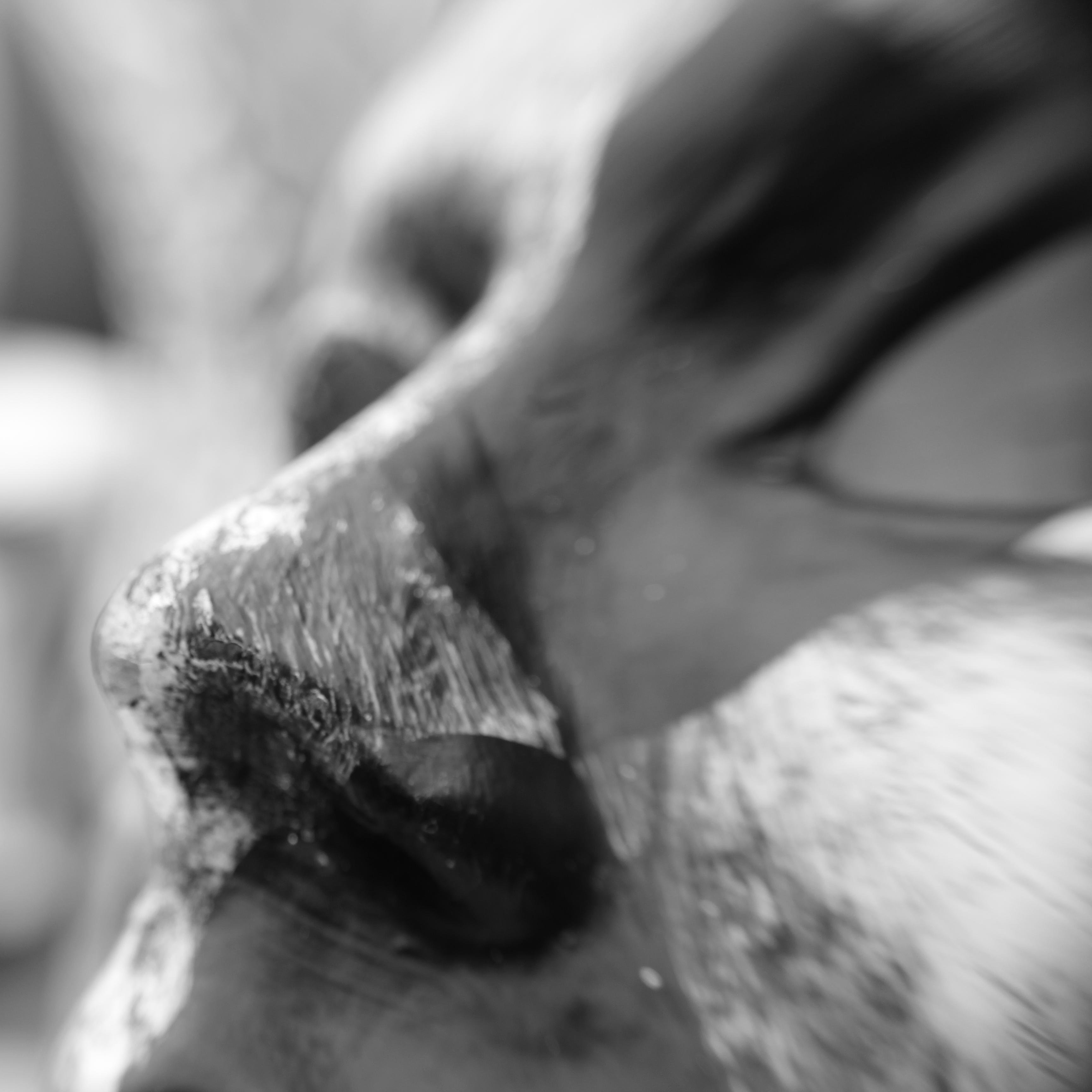 MaskCarnival's profile picture. Mask Carnival is an independent record label and hub for various creative industries, music, photography, video, film and performance.