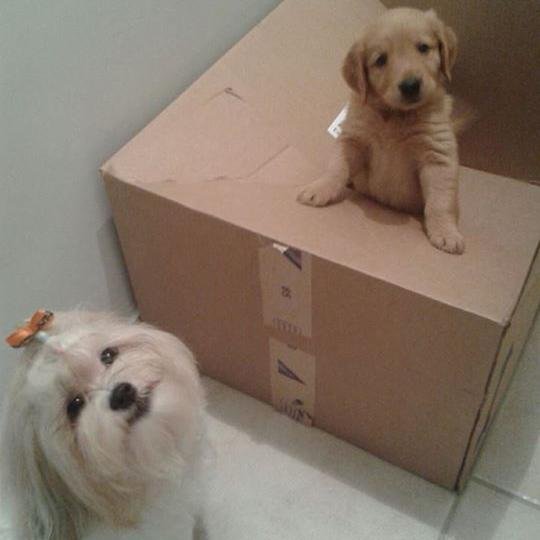 Cristã,  Filha, Amiga.