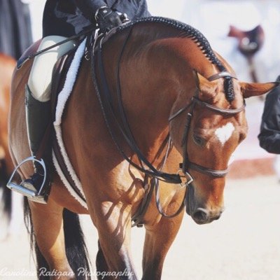 MotivationalEq's profile picture. 