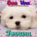 melissa salgado - @corazon19821958 - Twitter