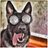 ThatShepDawg's profile image