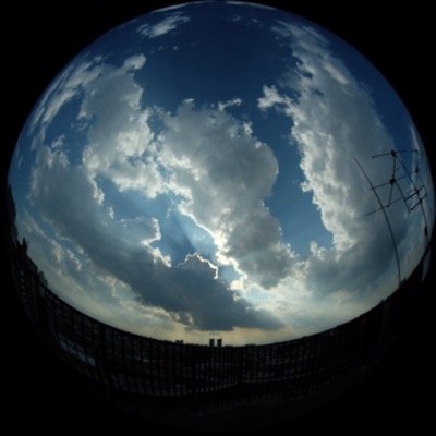 T.Kameiのプロフィール写真