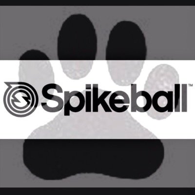 BHSSpikeball's profile picture. Cottonwood Heights 
Brighton High School 
Spikeball Club