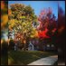 Feinstein Institute (@feinsteinpc) Twitter profile photo Feinstein Institute (@feinsteinpc) Twitter profile photo