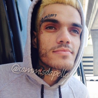 cammisdapollo Profile Picture