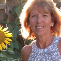 Sandy Archer (@solsearcher) 's Twitter Profile