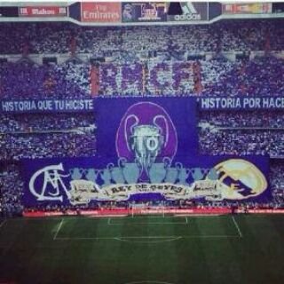 sa3ad88s's profile picture. 