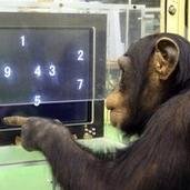 CSDTechTeam's profile picture. 