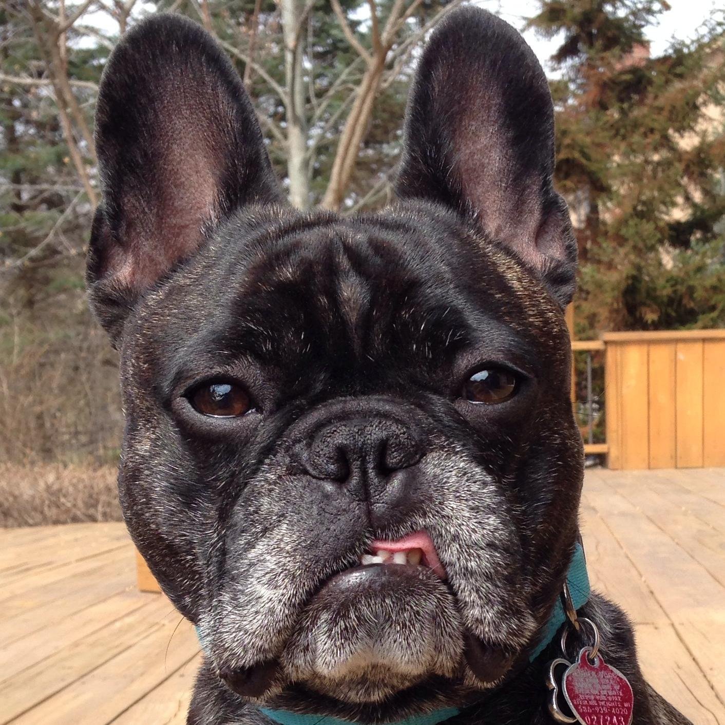 motownpaul's profile picture. Think positive. Be positive.