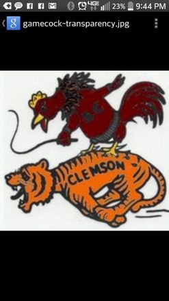 AhSonbear's profile picture. I AM A SON A MIDDLE SCHOOL STUDENT A HUGE GAMECOCKS FAN FORMER 5YEAR BASKETBALL PLAYER & 1 YEAR SOCCER PLAYER MANILY 5YEAR BASKETBALL PLAYER!!!!!!!!!