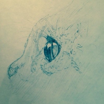 nit0wp Profile Picture