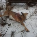 Frederick Blair - @e5a7eaa56440493 - Twitter