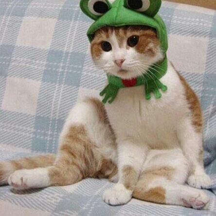 nilmacr7's profile picture. 