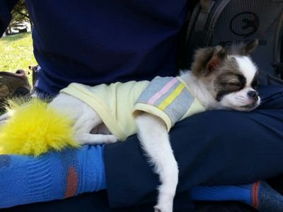 koreachan's profile picture. 