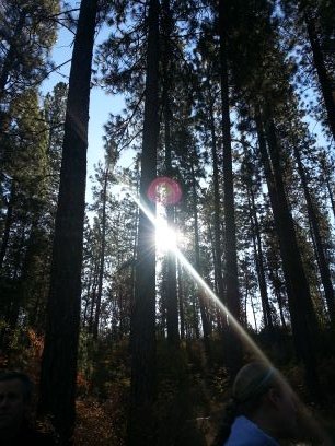 AnaAngelBones's profile picture. relapse 
height: 5'7 cw:113 gw: 95
not in wonderland anymore