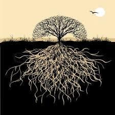 metatrees's profile picture. 